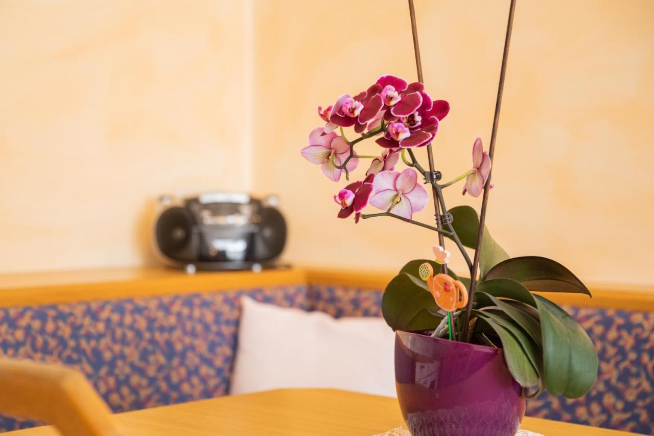Apartment Wanger Neukirchen am Großvenediger Zewnętrze zdjęcie